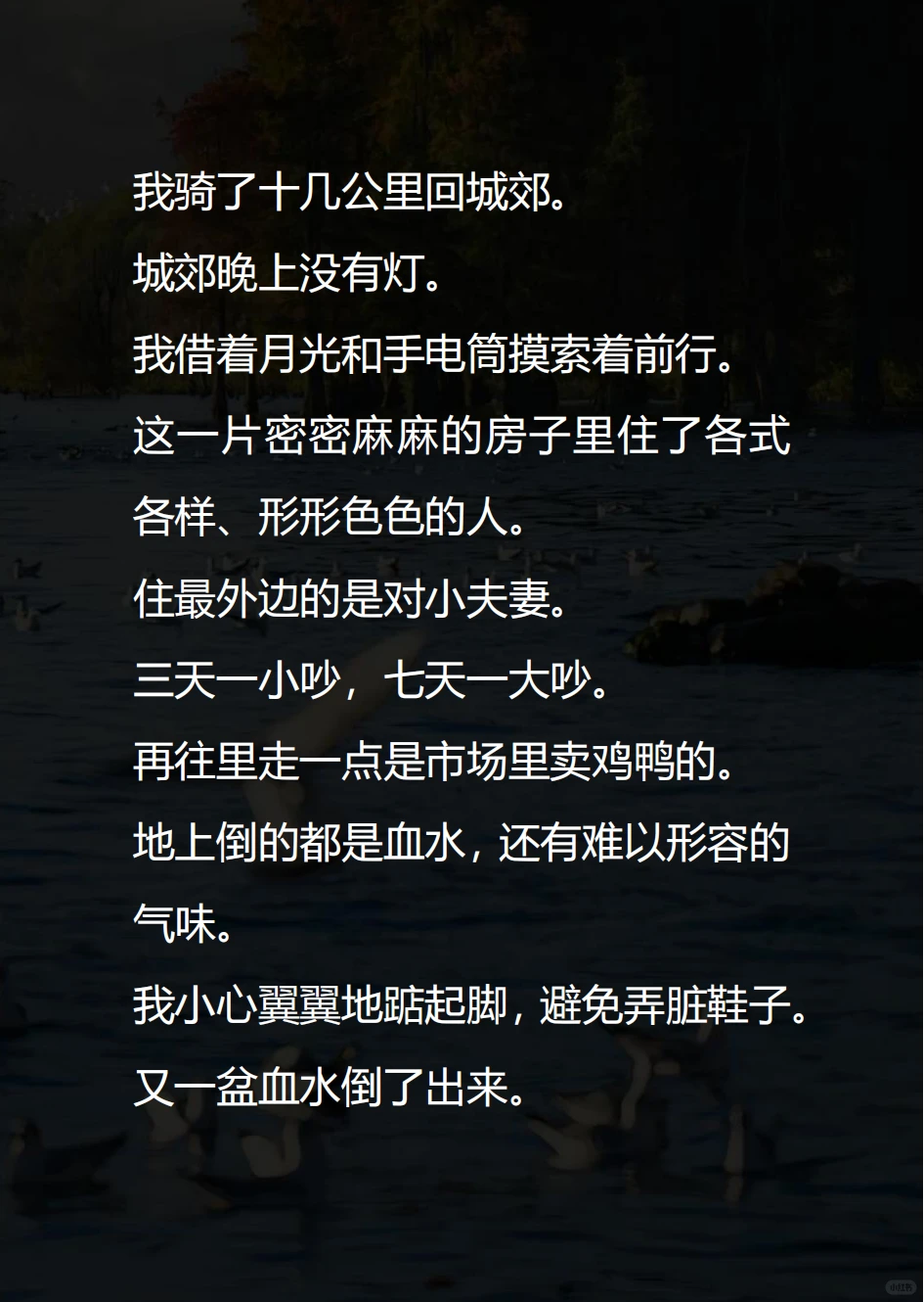 室友偷偷用我的照片 网恋