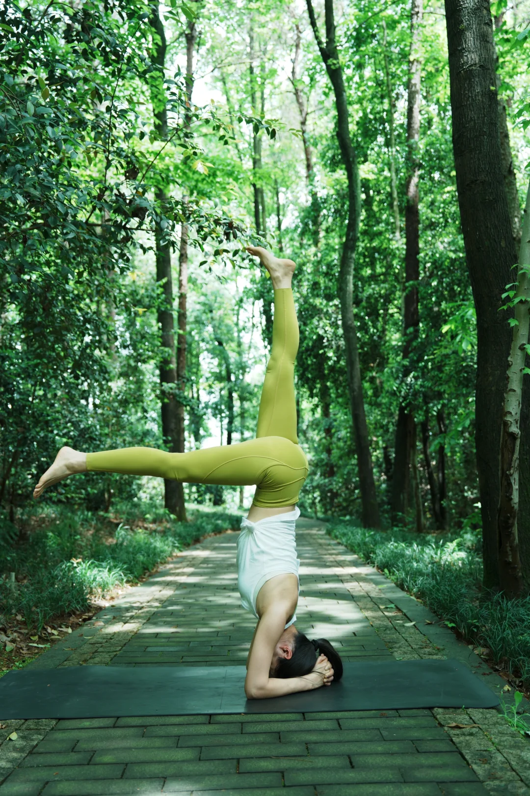 森系瑜伽晨光中与树木🌲共舞✨