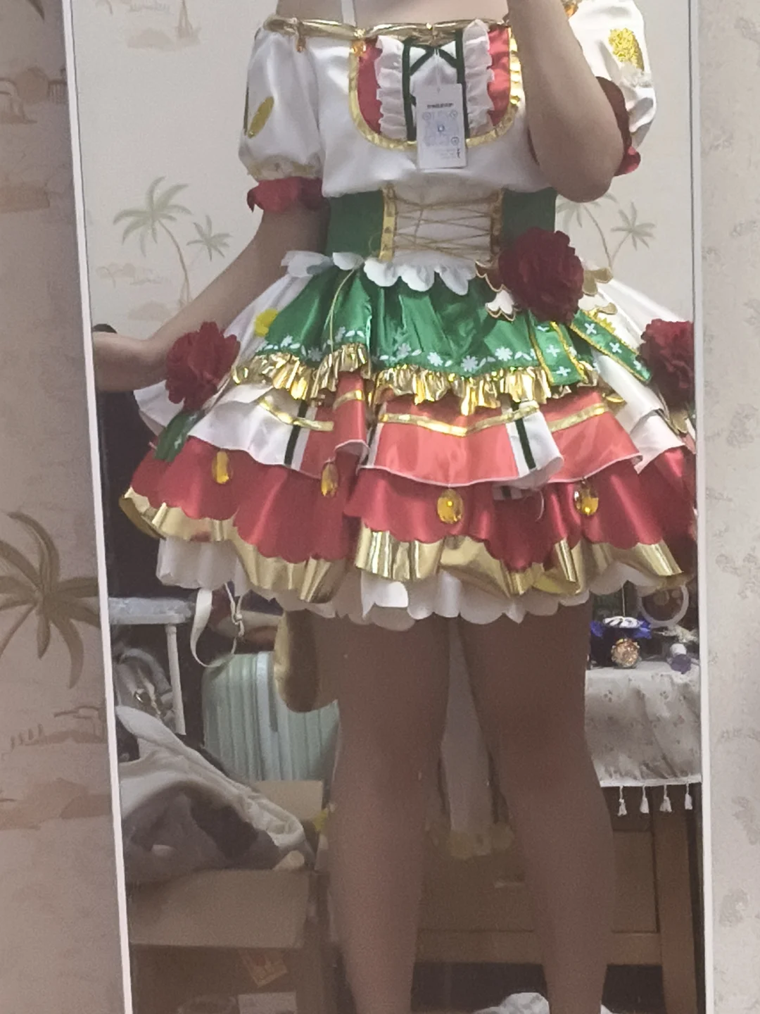 莉莉塔家的绿风芙羽梨