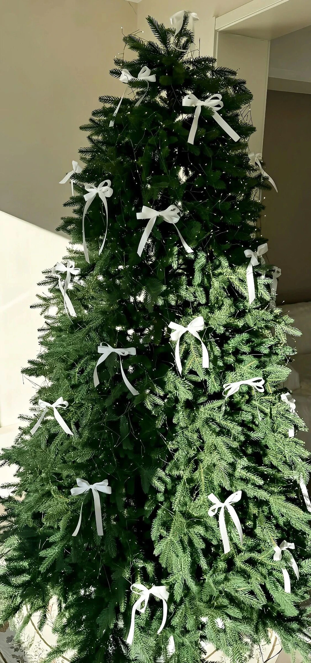 | 276 | 圣诞壁纸