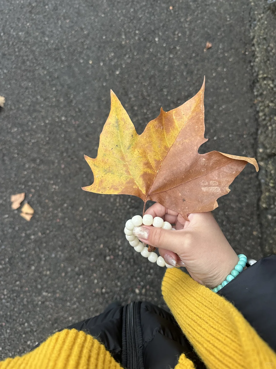 已练已开心已生活