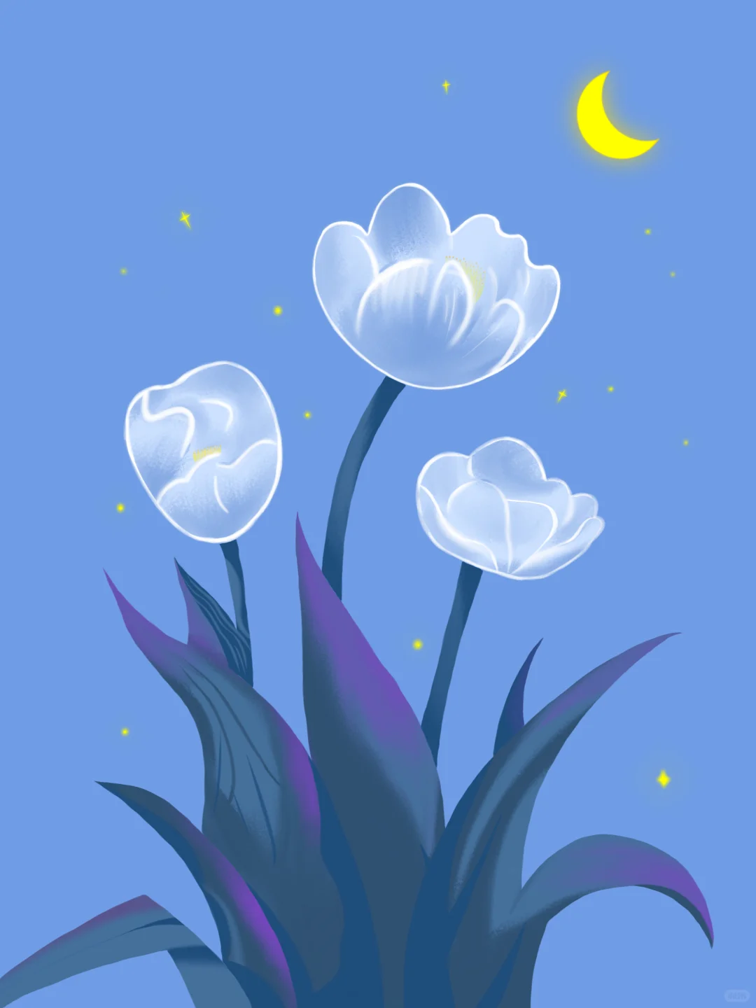 月色郁金香🌷【13/100】