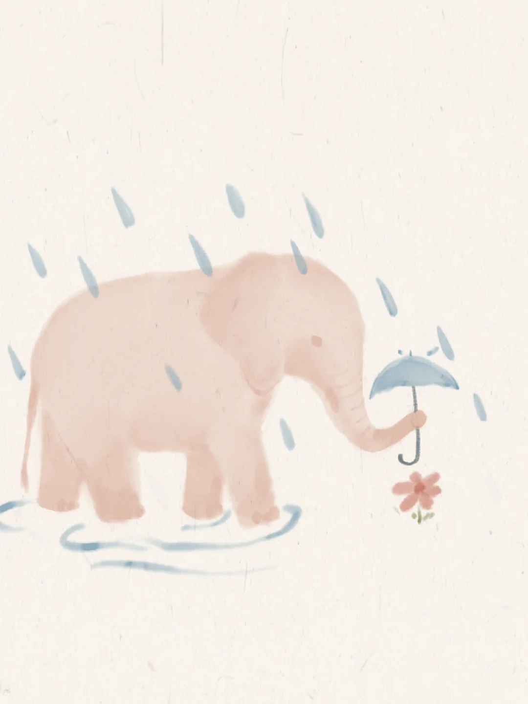 Don’t worry 自然系列小象🐘官宣啦