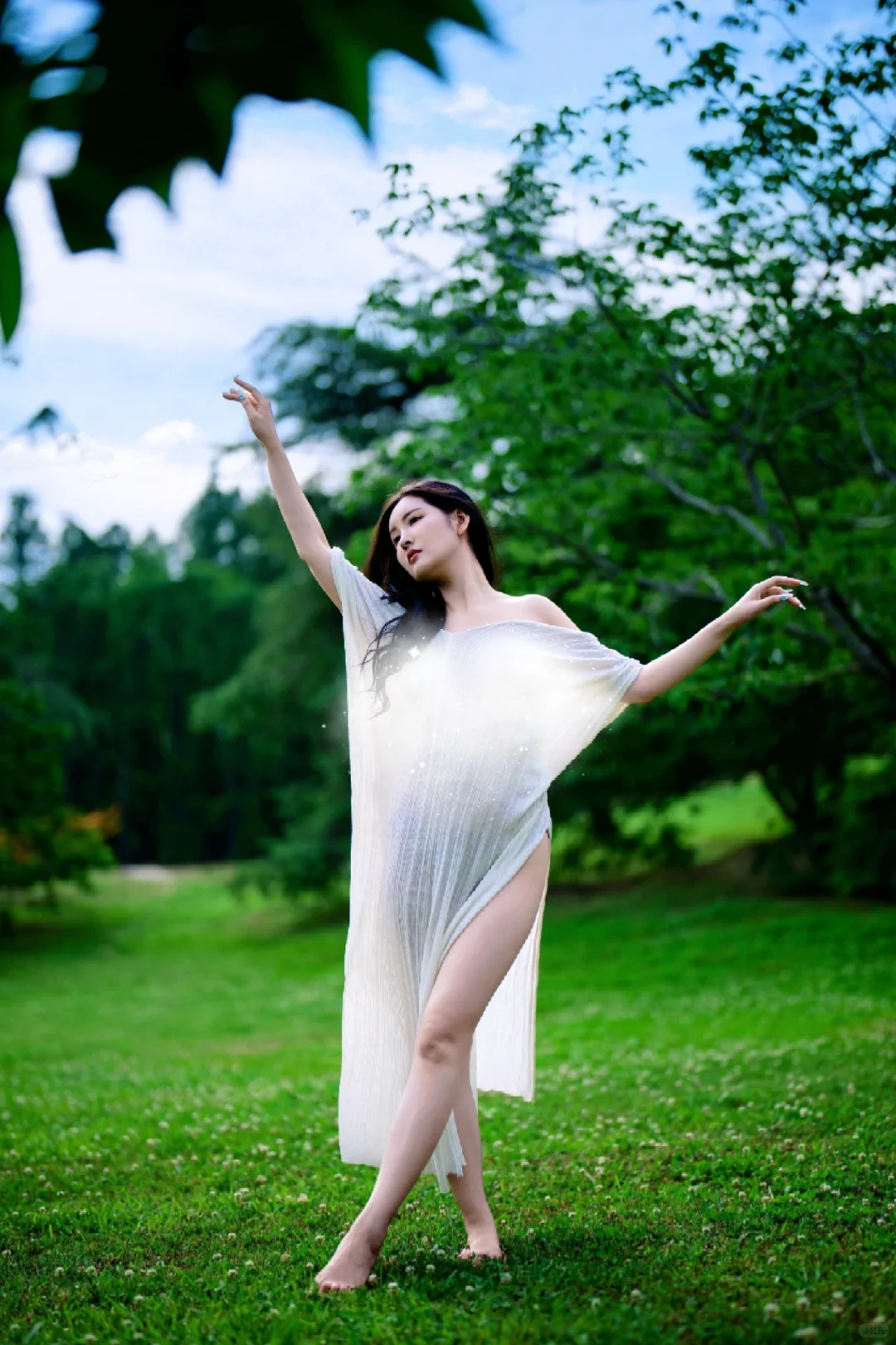 迷失在绿野之森🌿