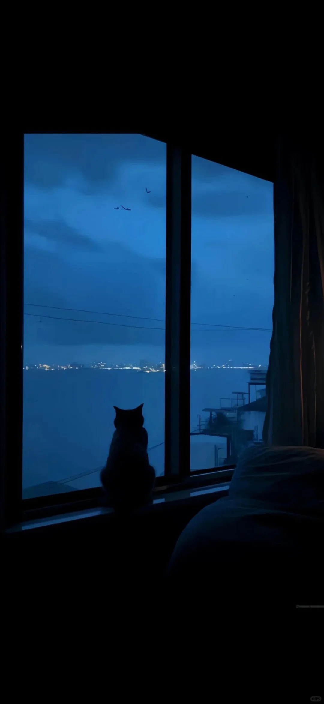 想你时风起 风起意难平