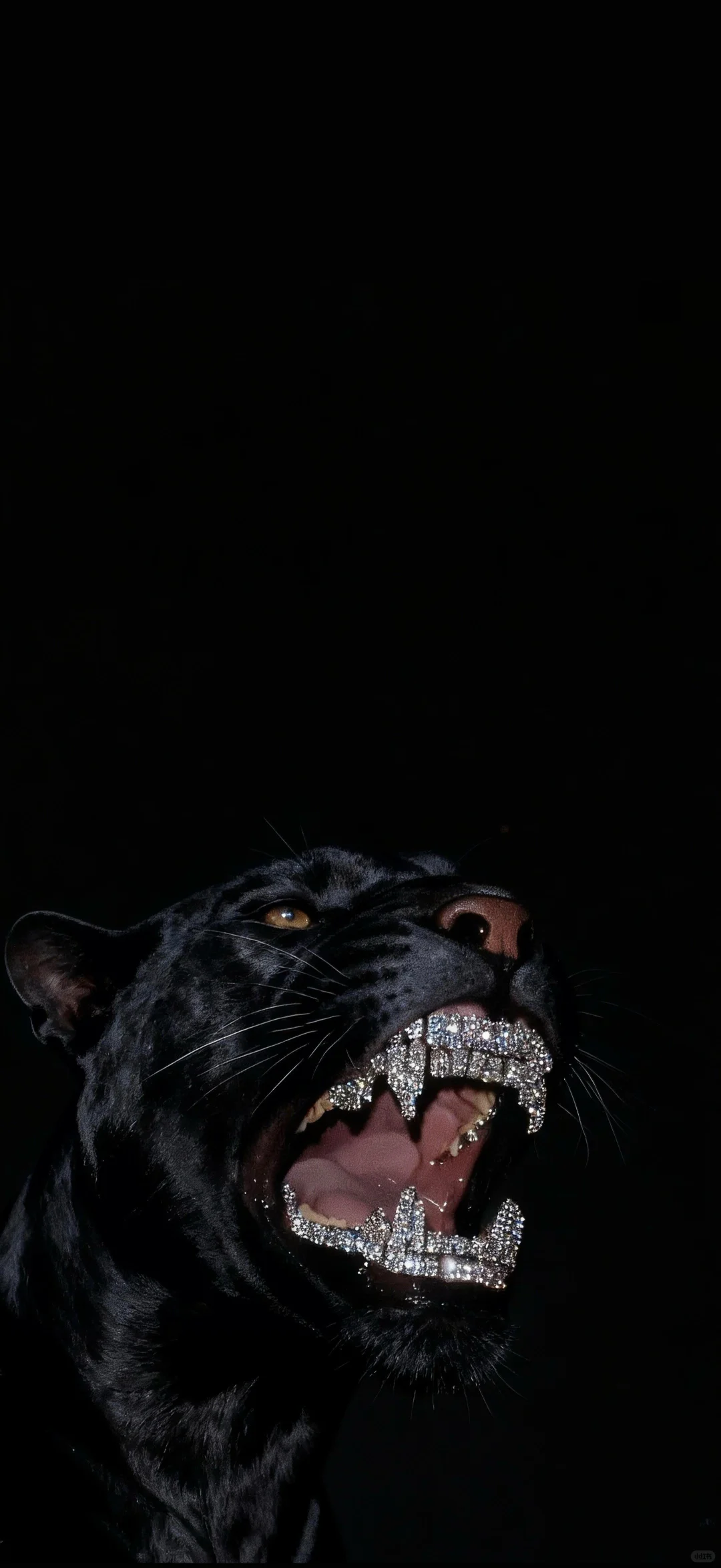 wallpaper｜小众潮流壁纸