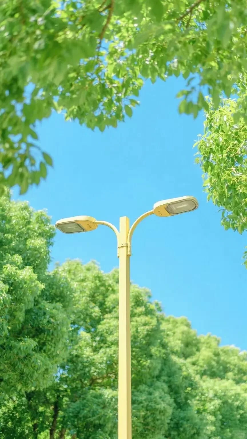 Green｜绿色系壁纸合集2️⃣