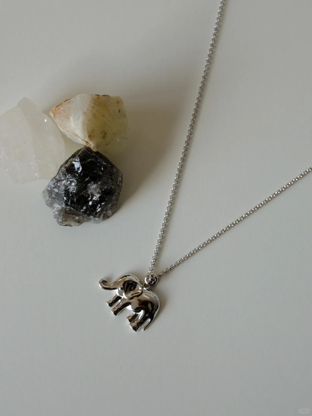 Don’t worry 自然系列小象🐘官宣啦