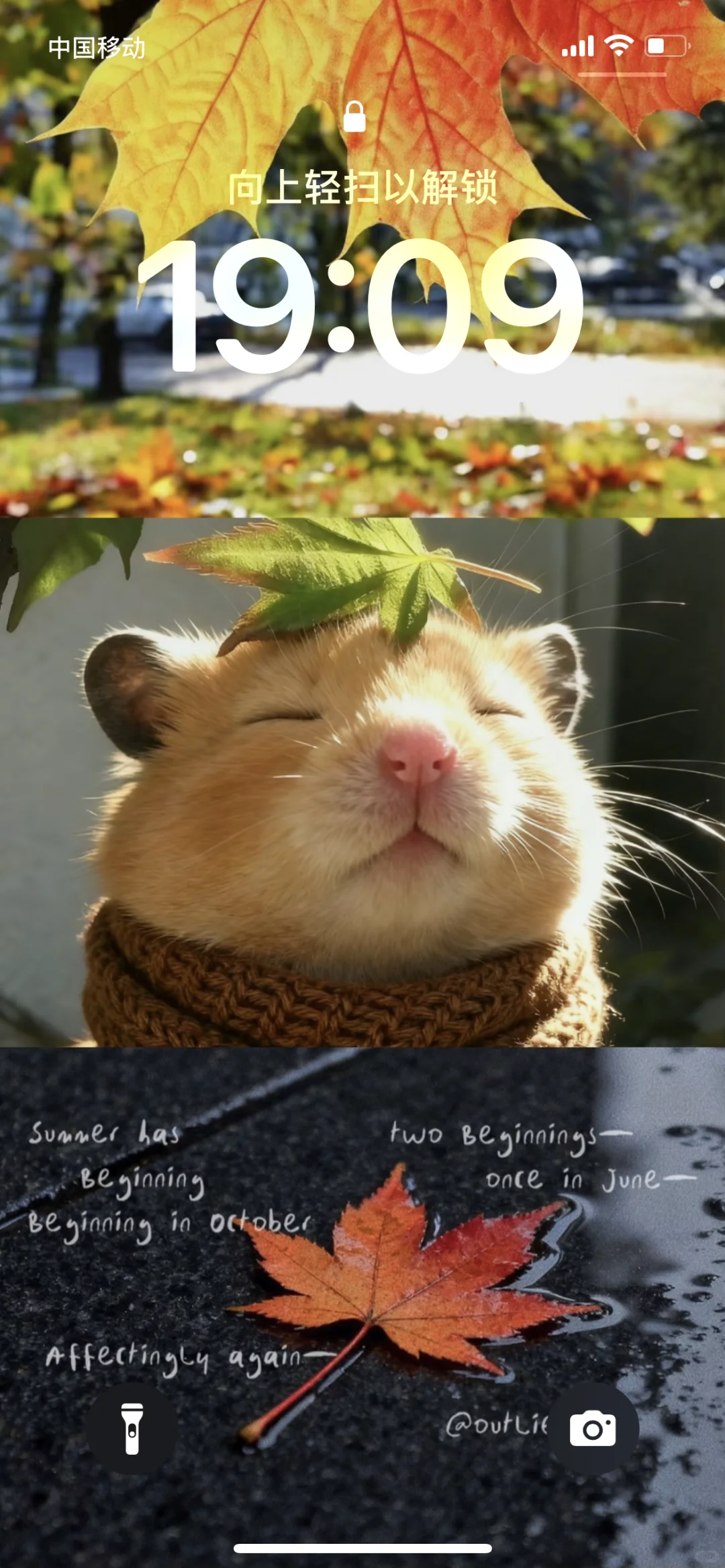 Share｜秋冬氛围感壁纸🍁