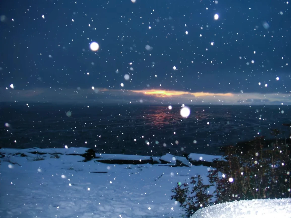 雪❄️｜配套氛围感ipad壁纸