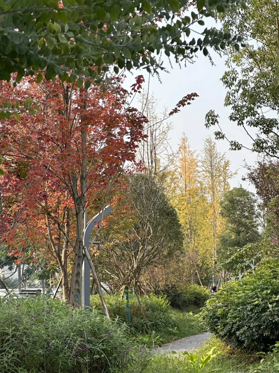 已练已开心已生活