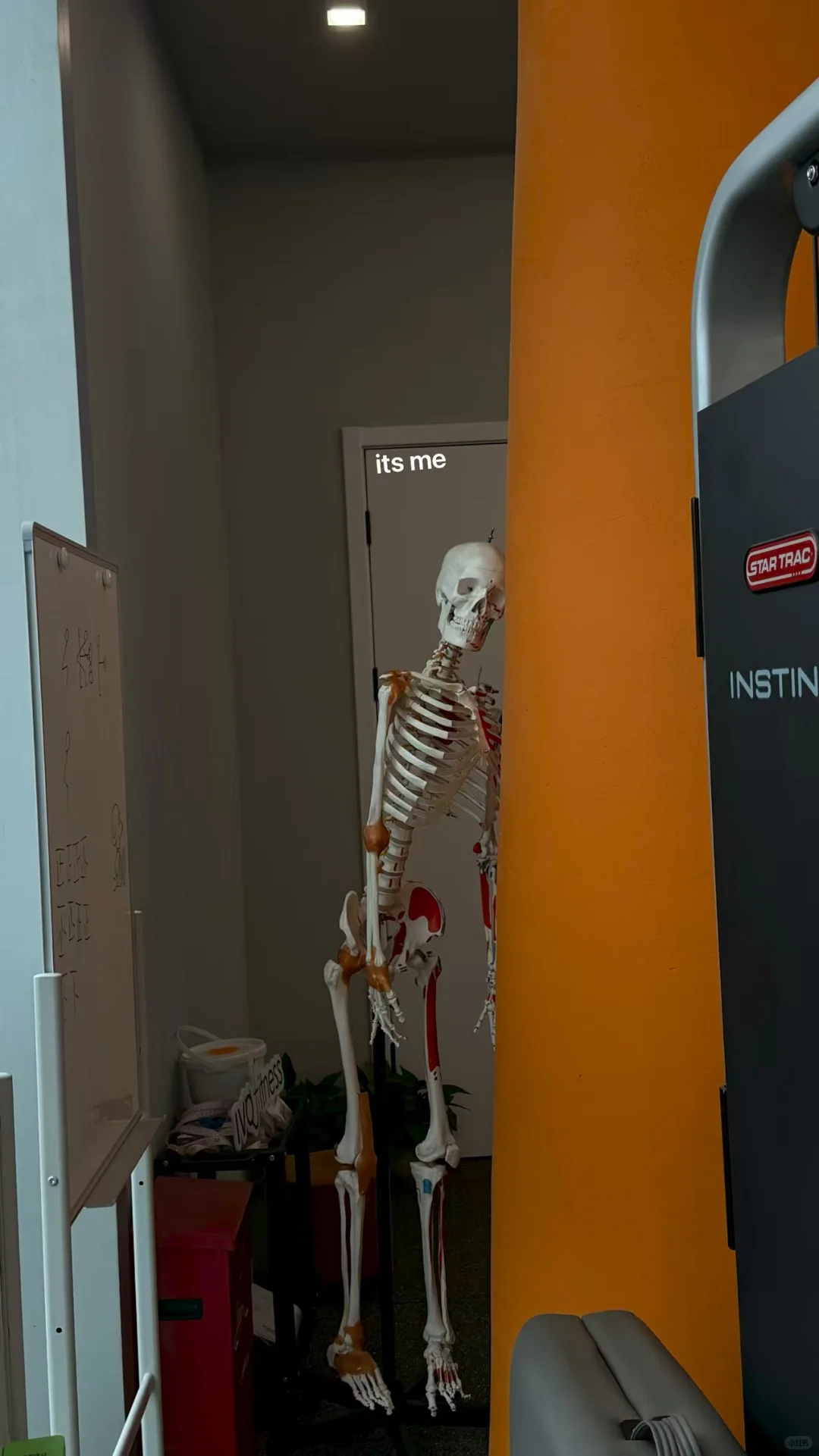 长得乖的健身女