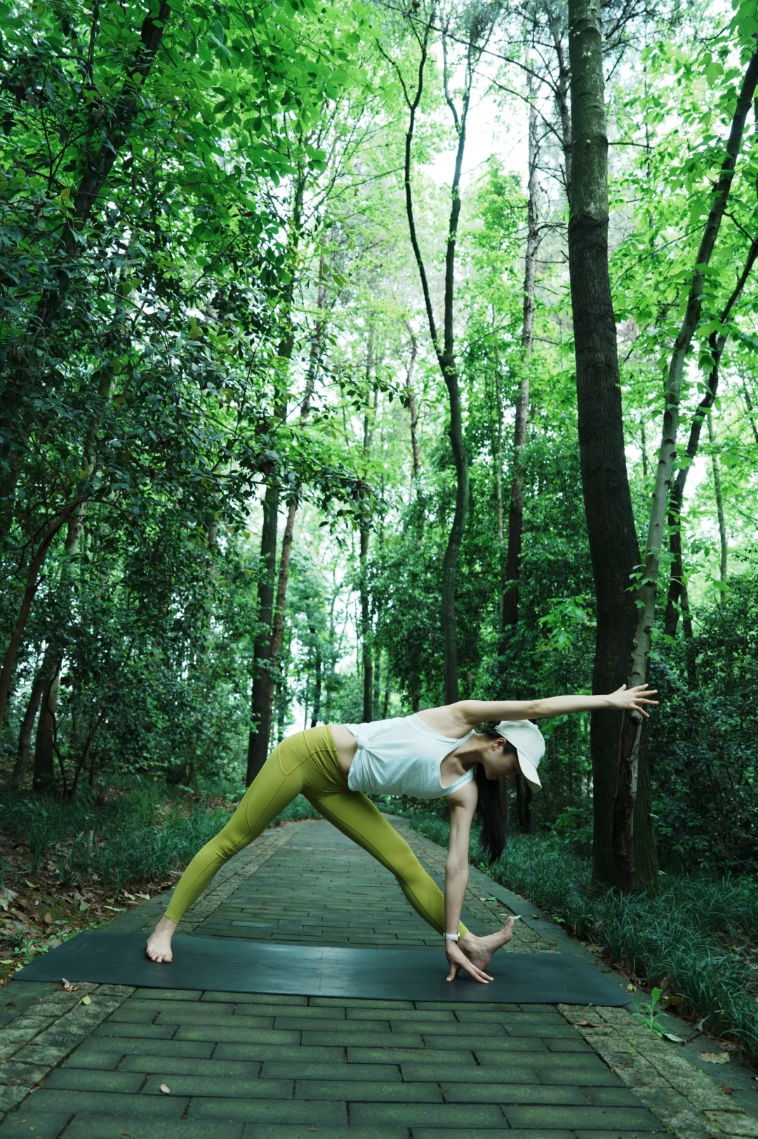 森系瑜伽晨光中与树木🌲共舞✨