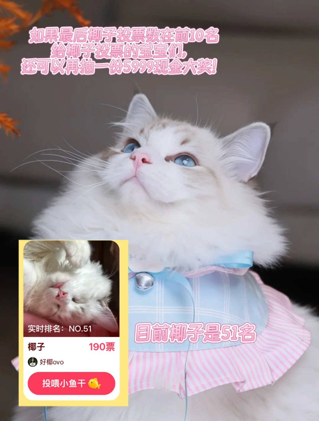 你温柔小姨姐也是漂亮女神pdd哈基咪之巅