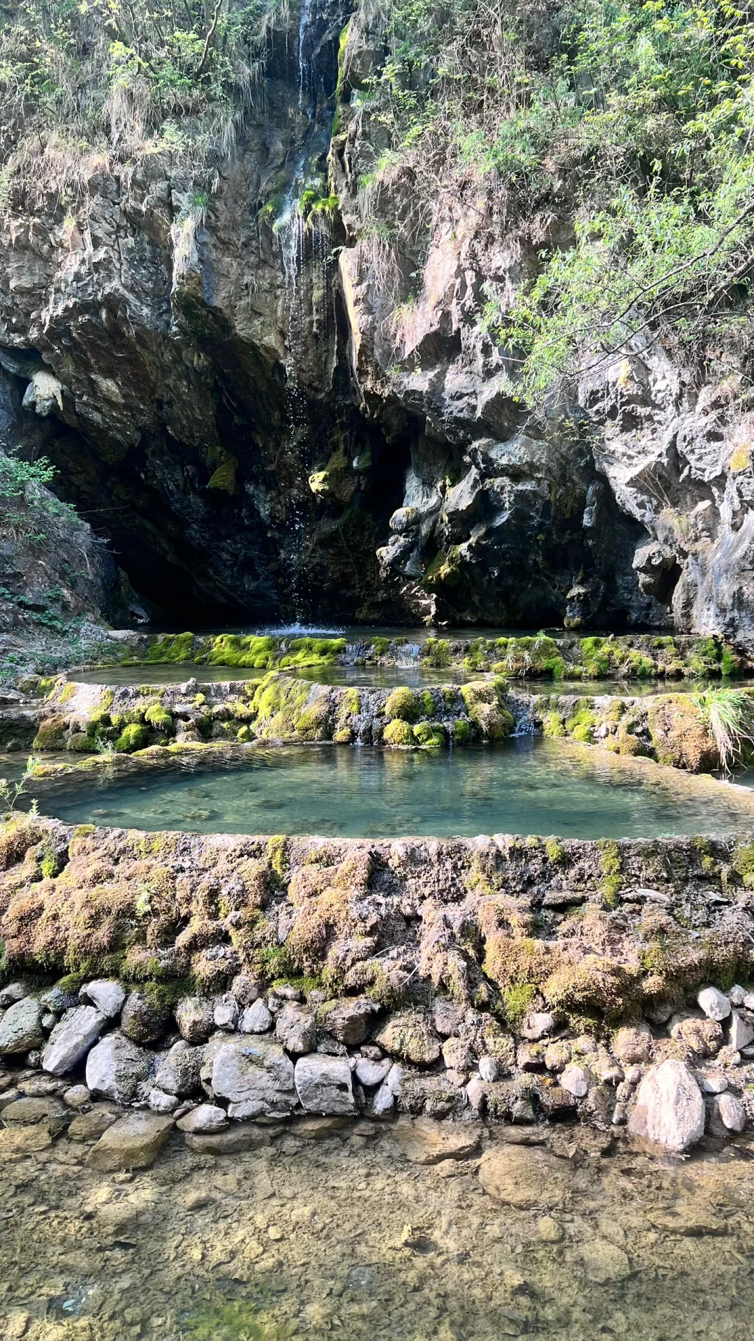 天气好好 进山吸吸氧🍃