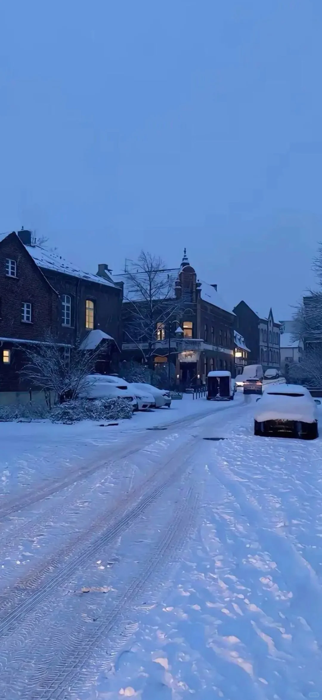 想你时风起 风起意难平