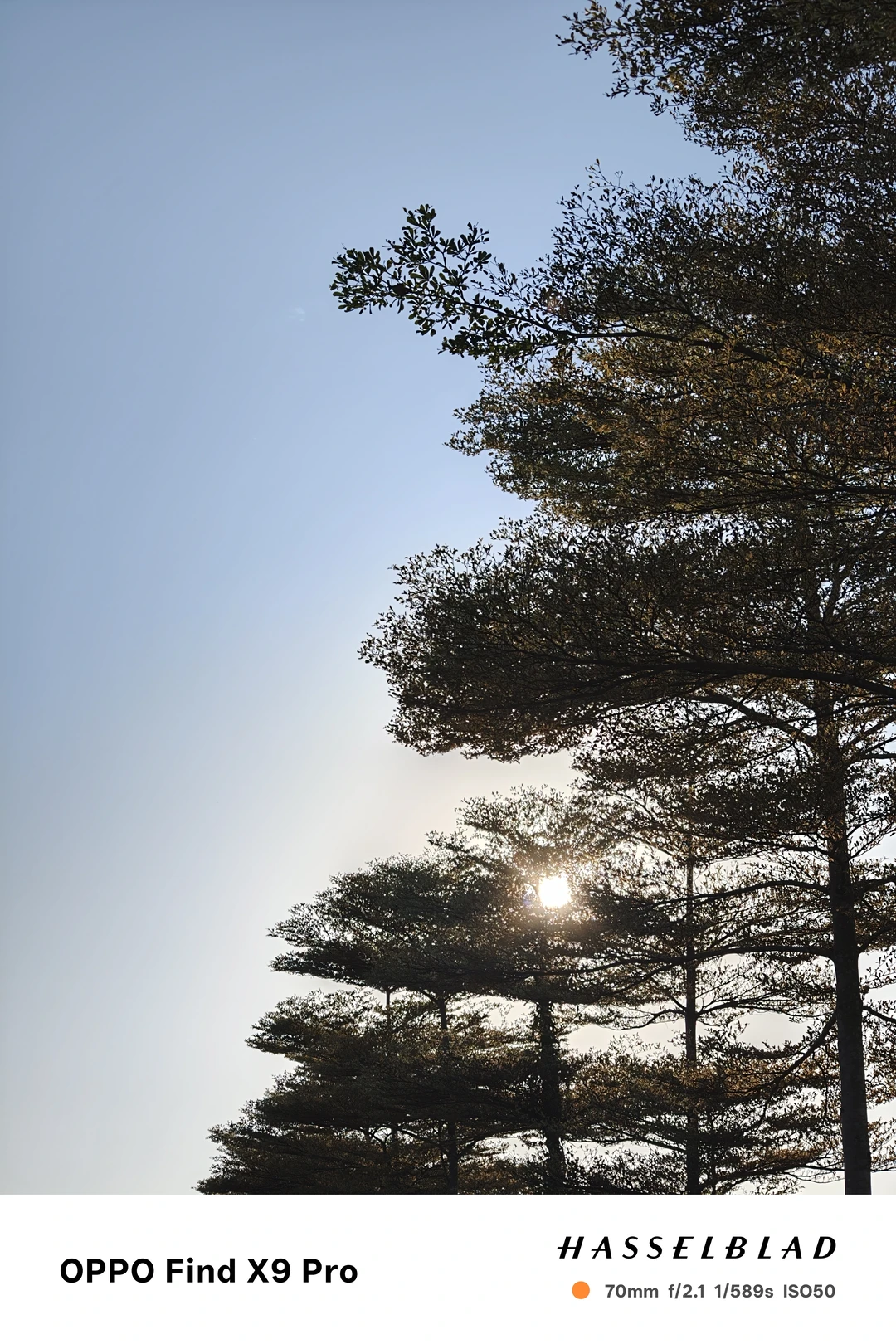 🍂被OPPO邀请来玩啦！这次是深秋露营局⛺️