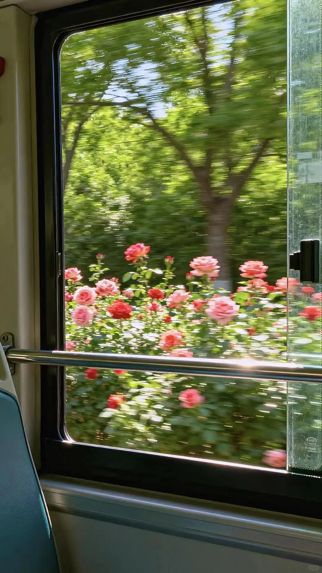 Green｜绿色系壁纸合集2️⃣