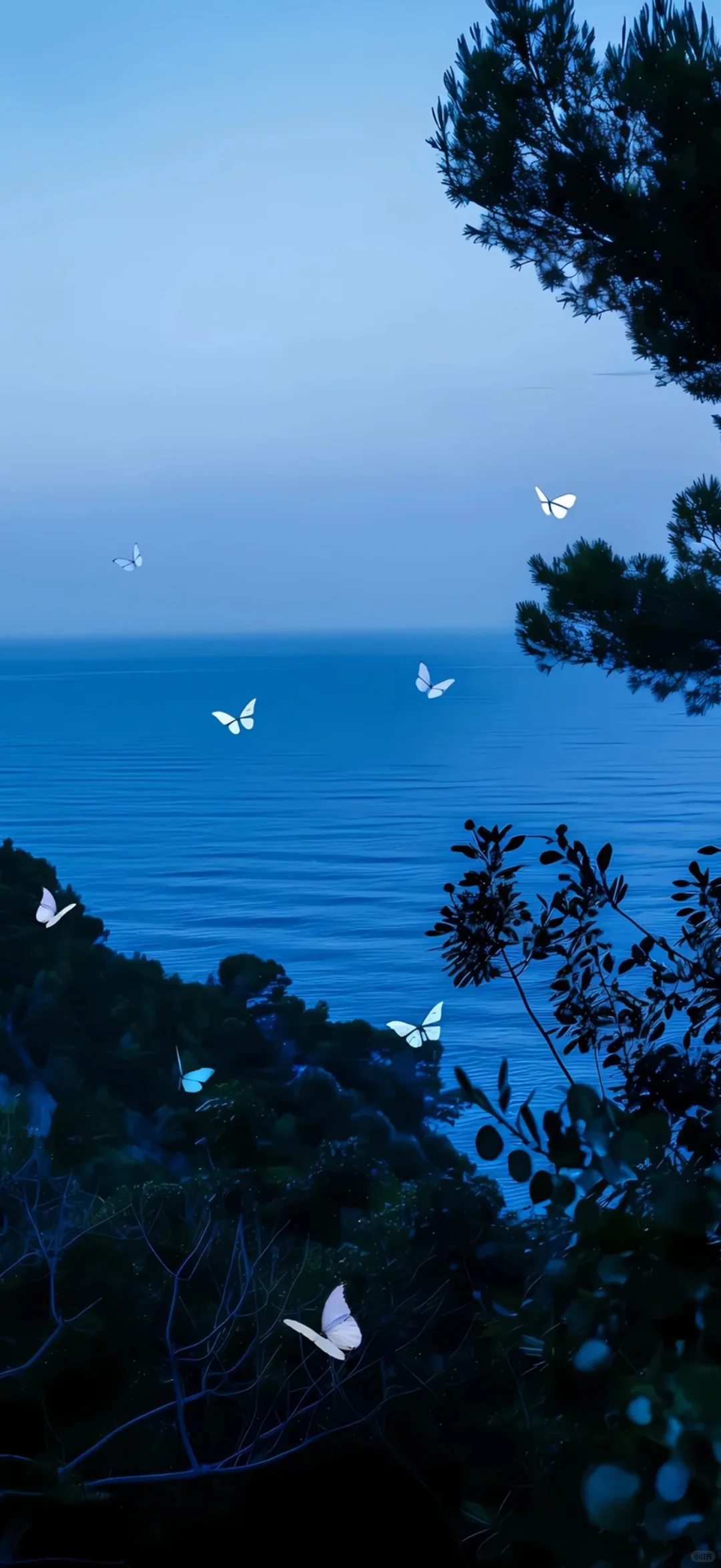 想你时风起 风起意难平