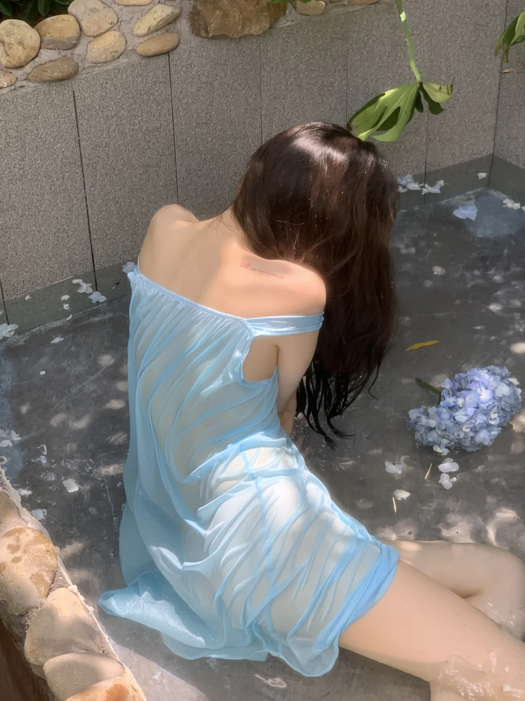 苏州摄影棚 | 温泉、花园、绣球、