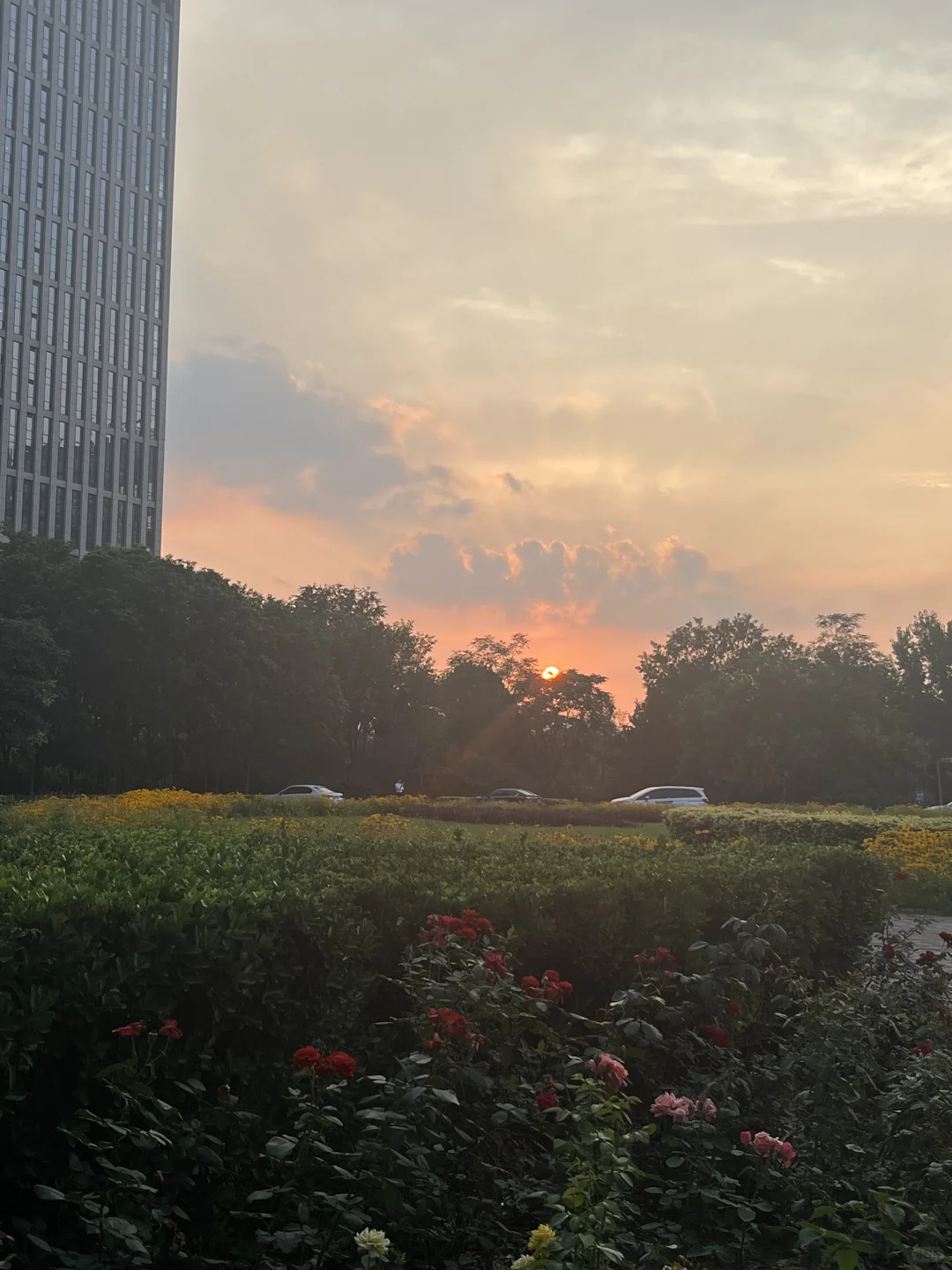 成为有肌肉线条的女性🏋️