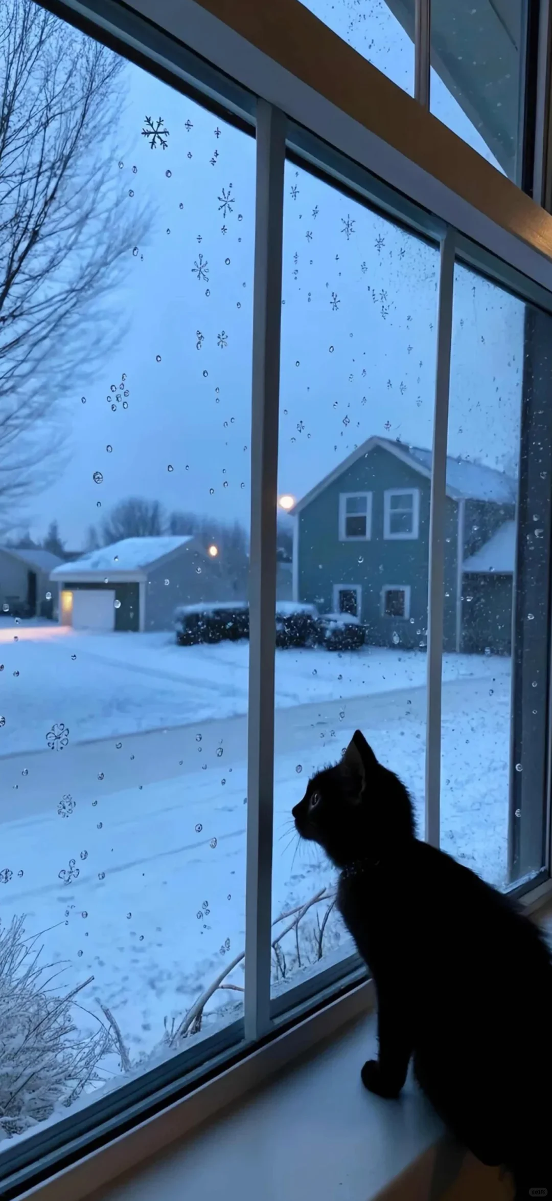 想你时风起 风起意难平