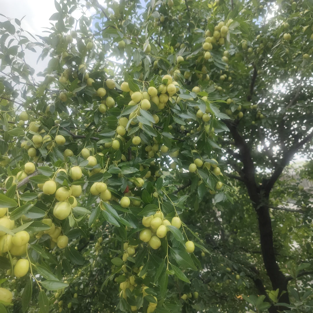 35岁姐姐长这样还能入你的眼吗？