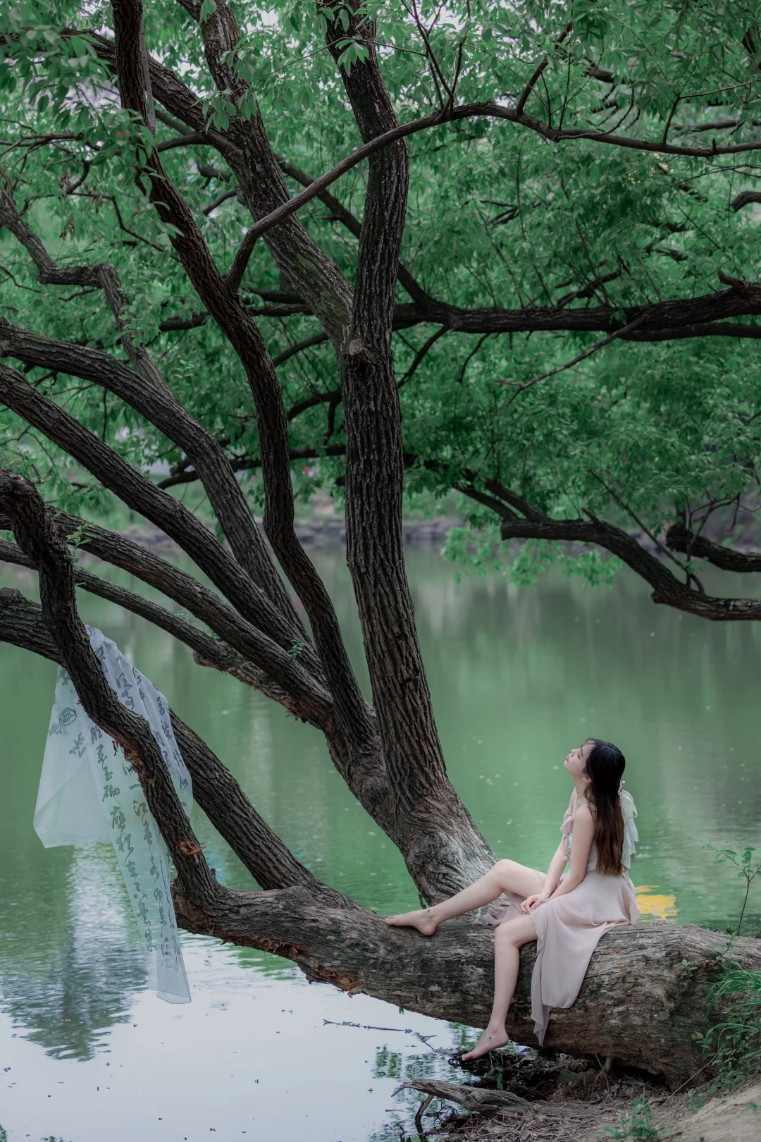 好纠结大家帮帮忙参考一下