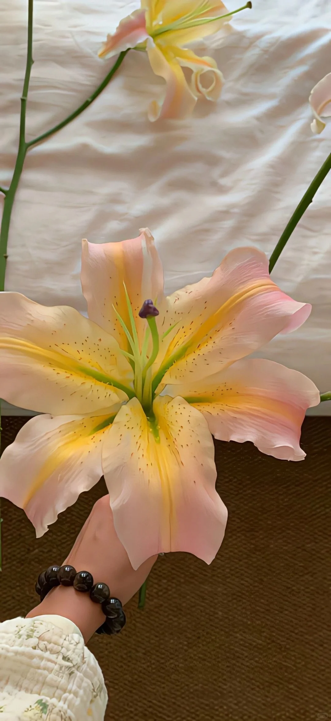 Share/珍藏高清壁纸10.19🥯