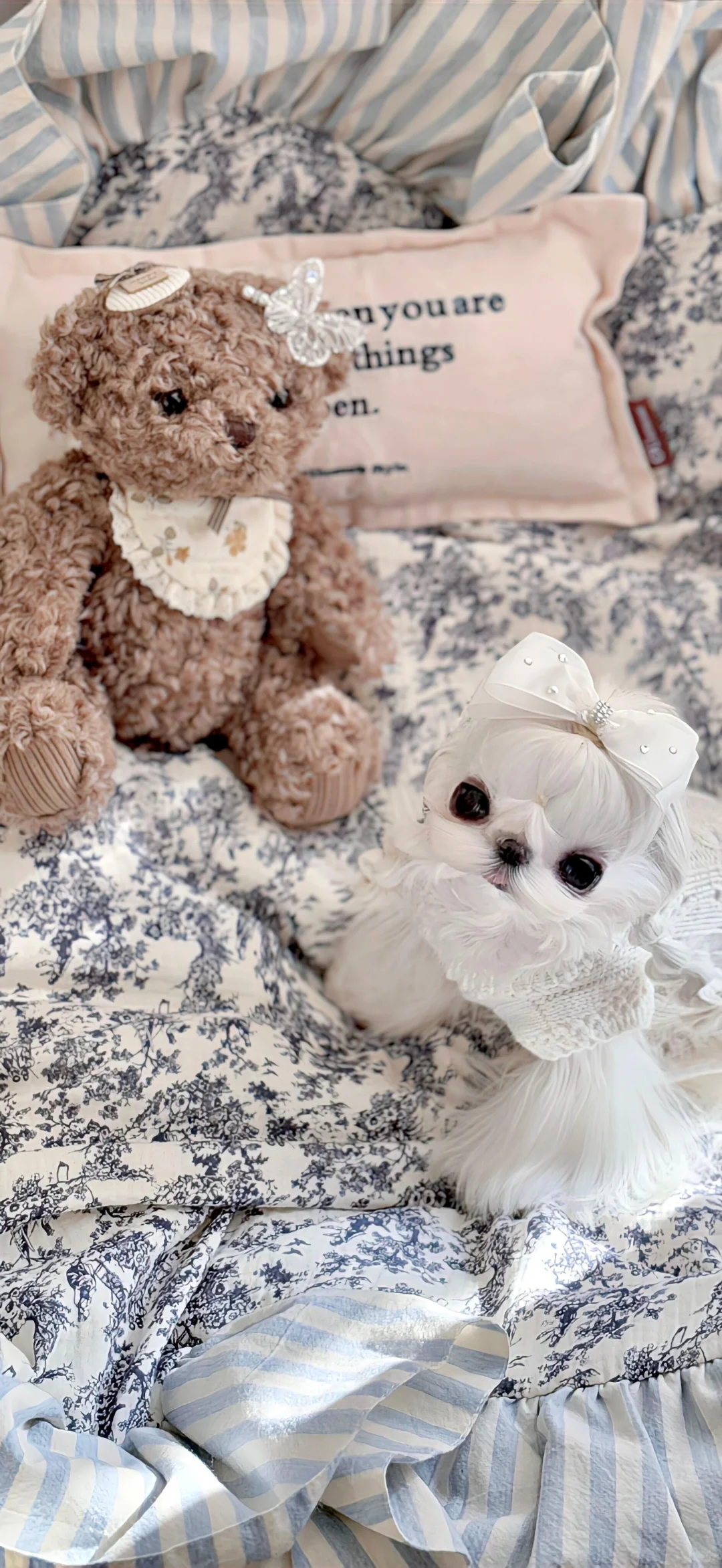 share🍥|氛围感壁纸⊹✮₊⋆