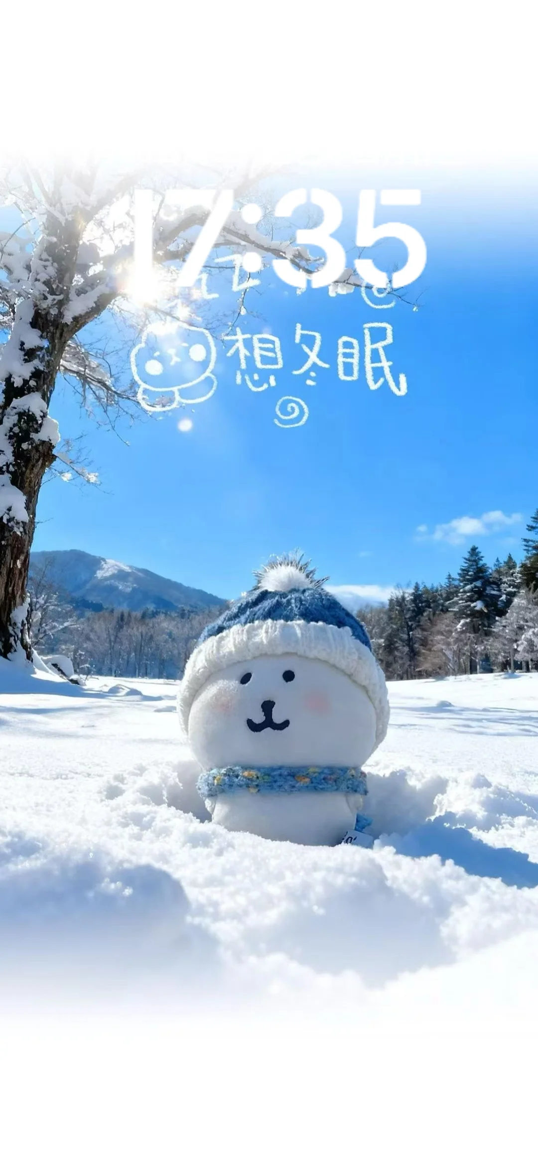 Share｜ins风自嘲熊氛围感壁纸❄️