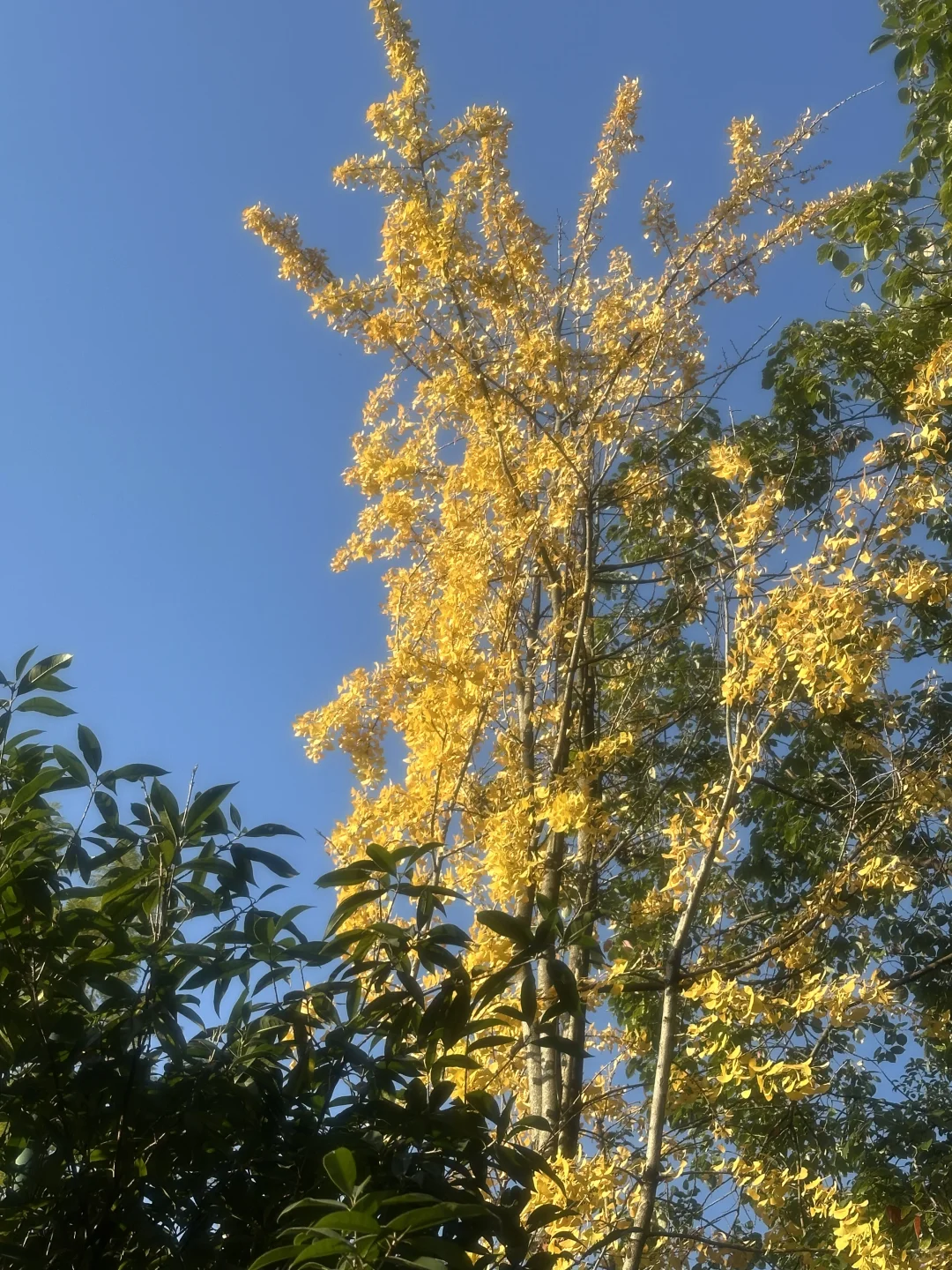 已练已开心已生活