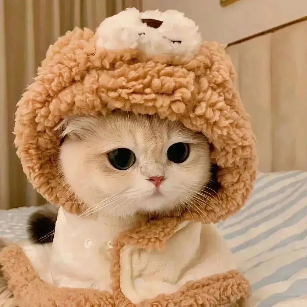 超旺自己偷一句🧡去惊艳你的朋ᩚ友ᩚ圈