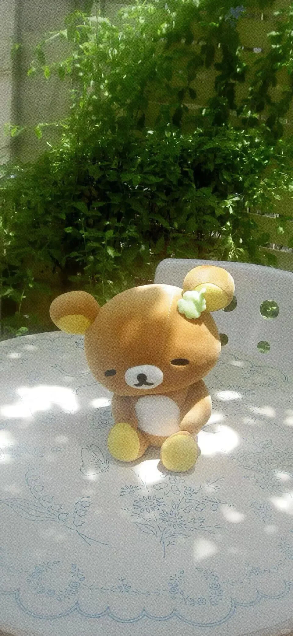 𝒘𝒆𝒄𝒉𝒂𝒕 ｜轻松熊壁纸