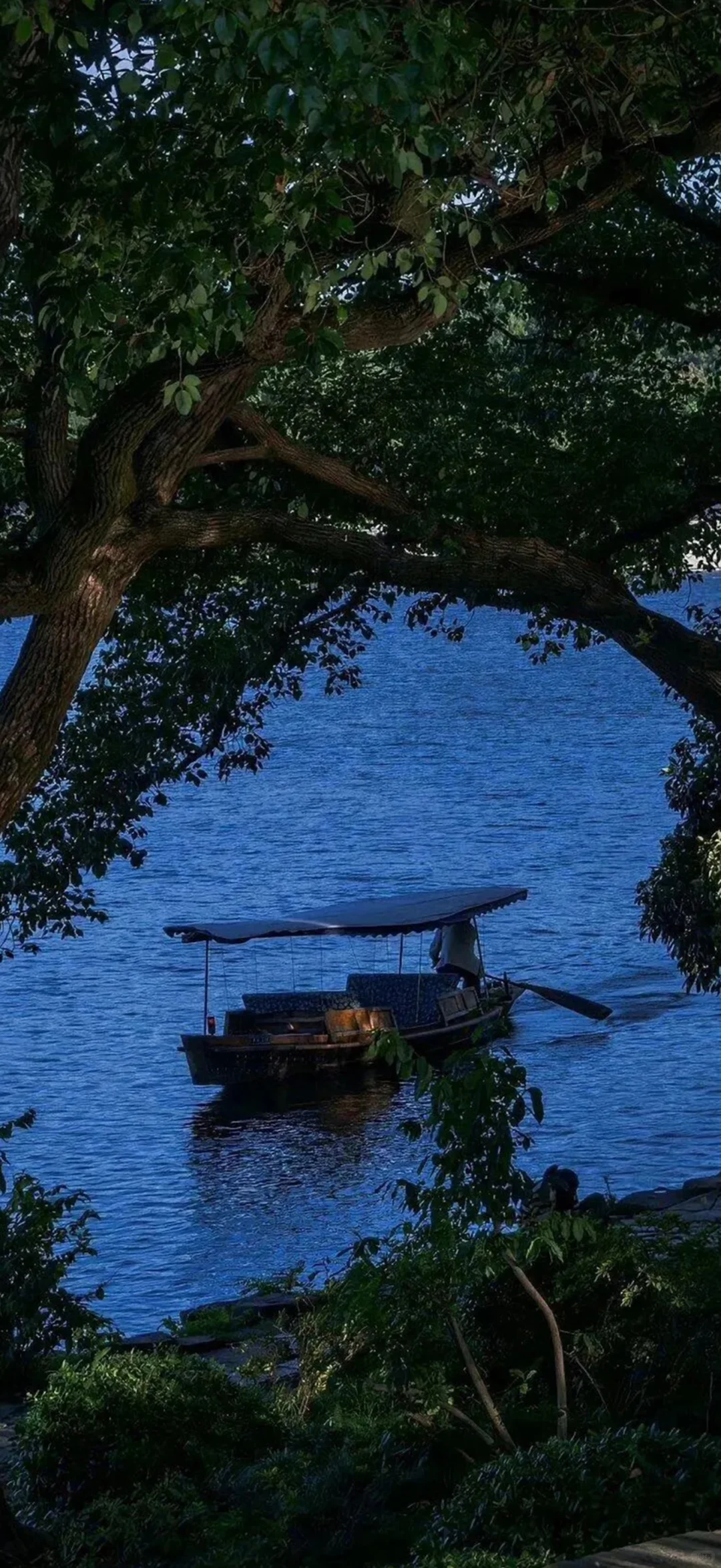 想你时风起 风起意难平