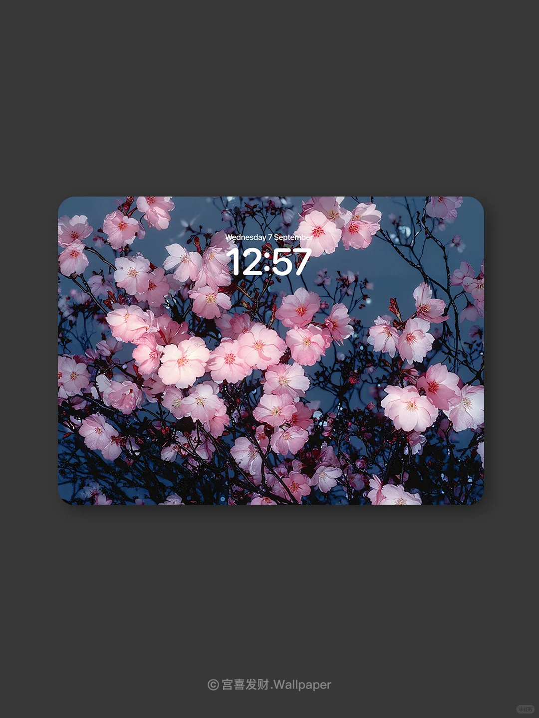 贩卖快乐小花丨G169丨氛围感高级壁纸