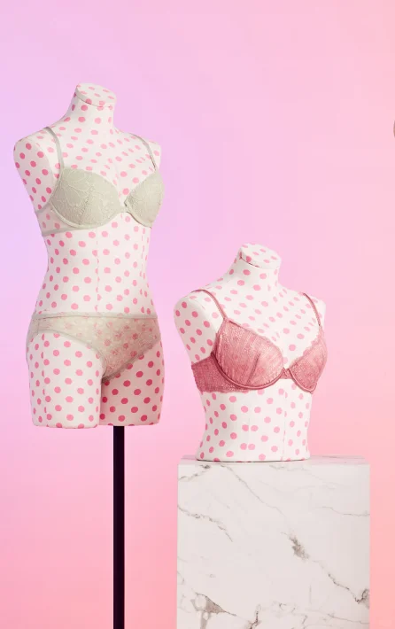 Victoria's Secret👙| 国际大牌内衣模特