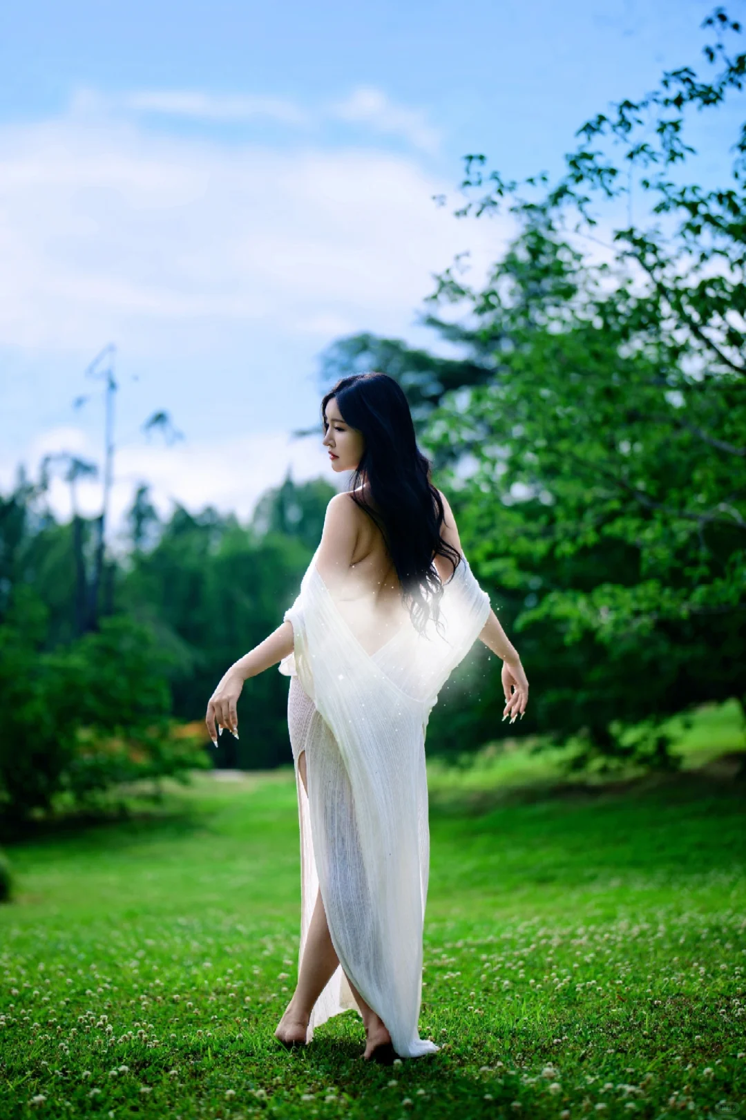 迷失在绿野之森🌿