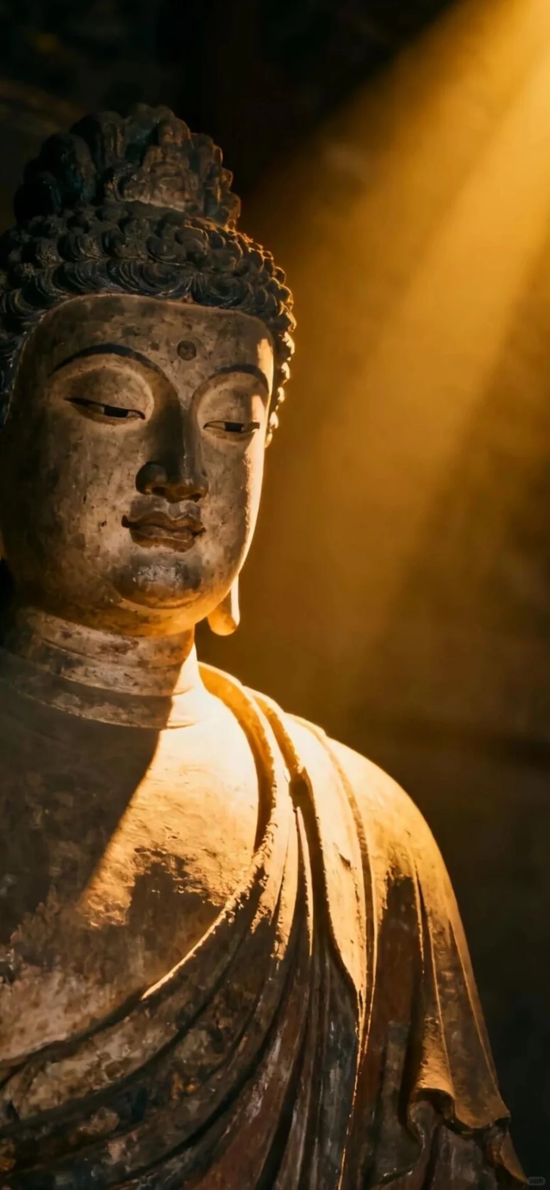 share丨11.26丨治愈系壁纸