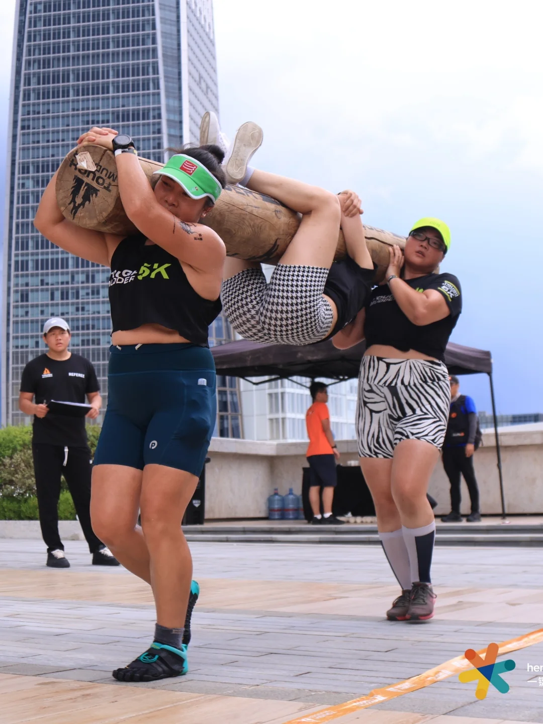 太好了，那我更新再勤快一些吧🤣