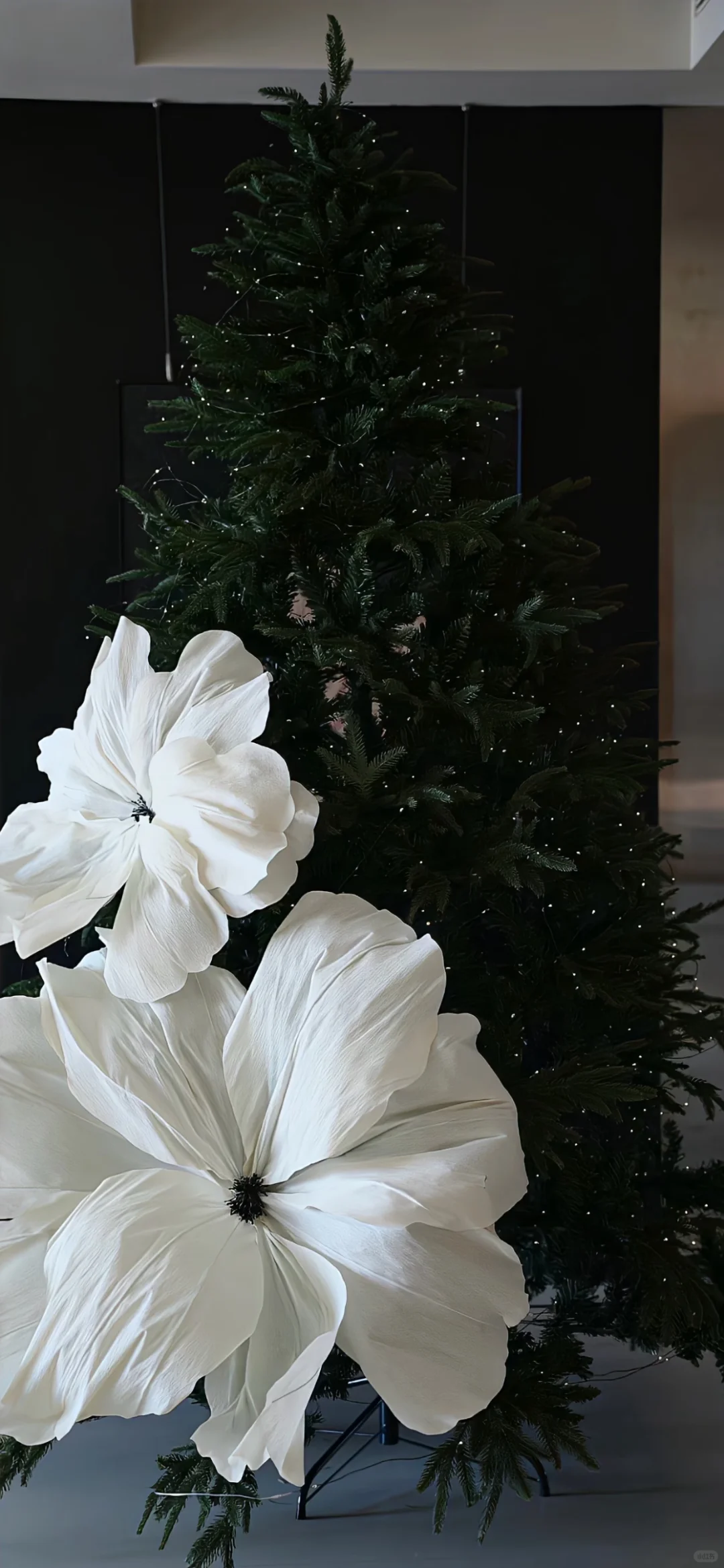 𝙎𝙃𝘼𝙍𝙀 🕸️ | ins高级感壁纸