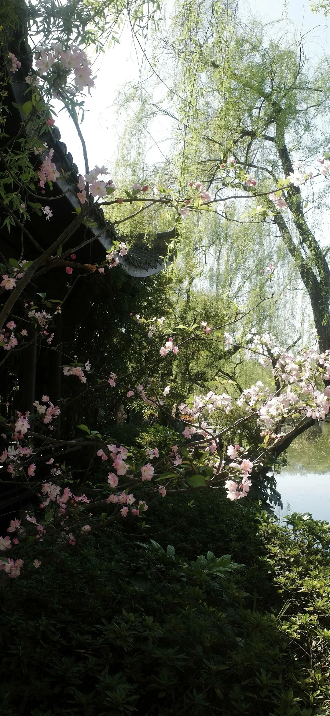 ins小众高级感手机壁纸🥰