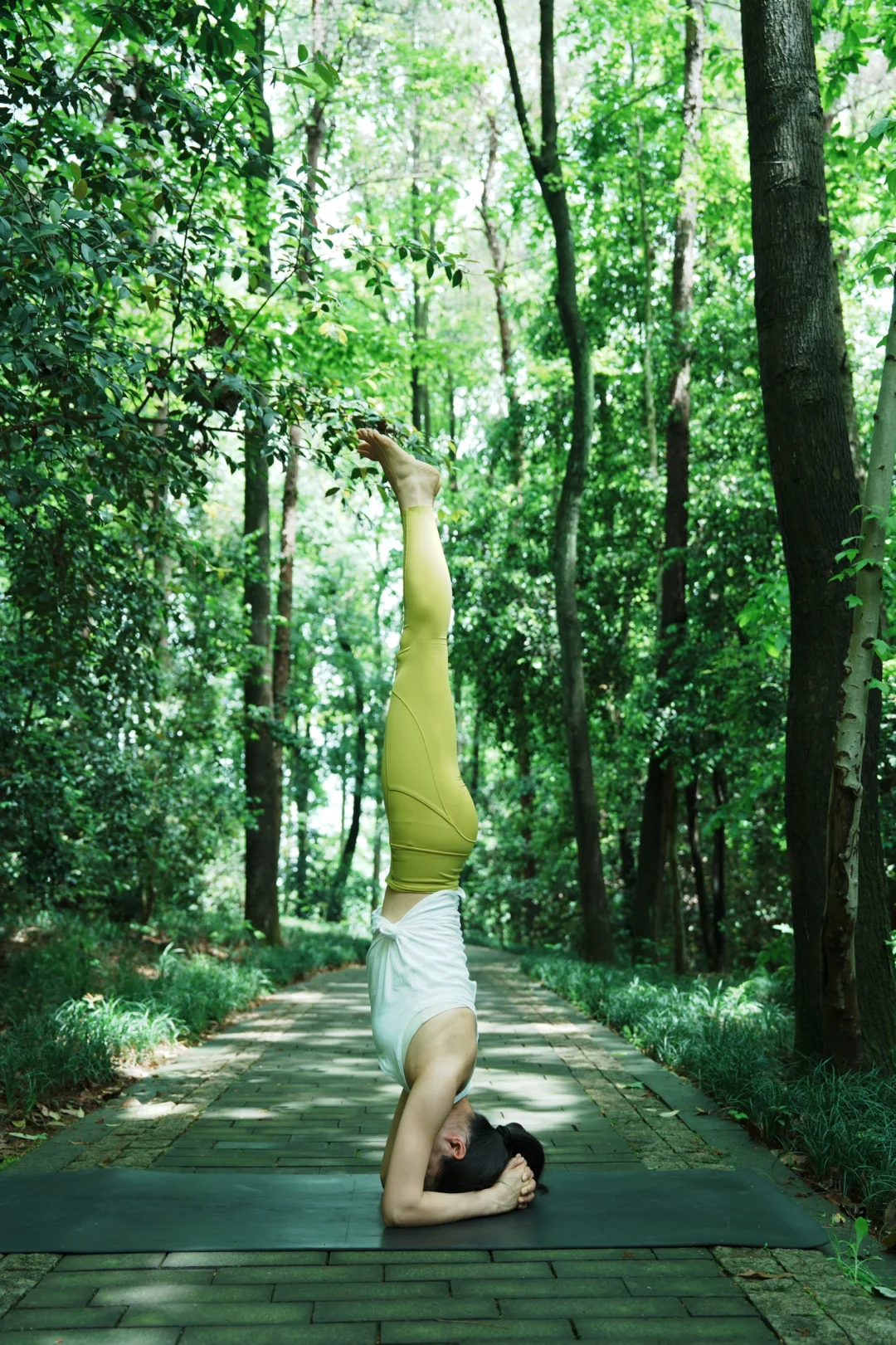 森系瑜伽晨光中与树木🌲共舞✨