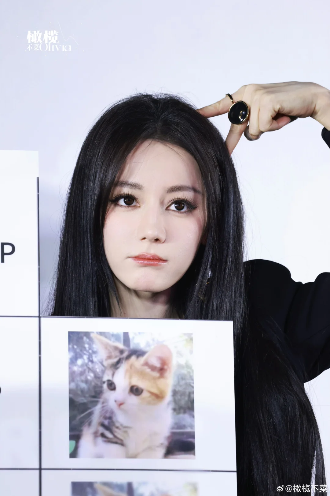 热巴《枭起青壤》追剧团，疯刀聂九罗来袭！