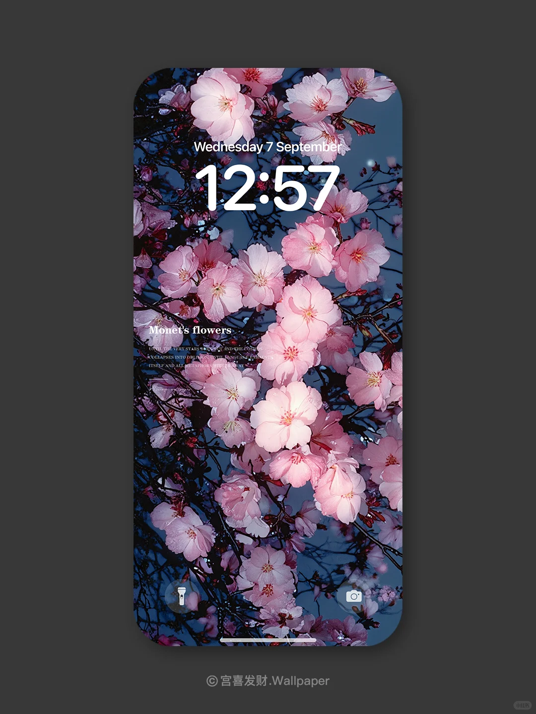 贩卖快乐小花丨G169丨氛围感高级壁纸