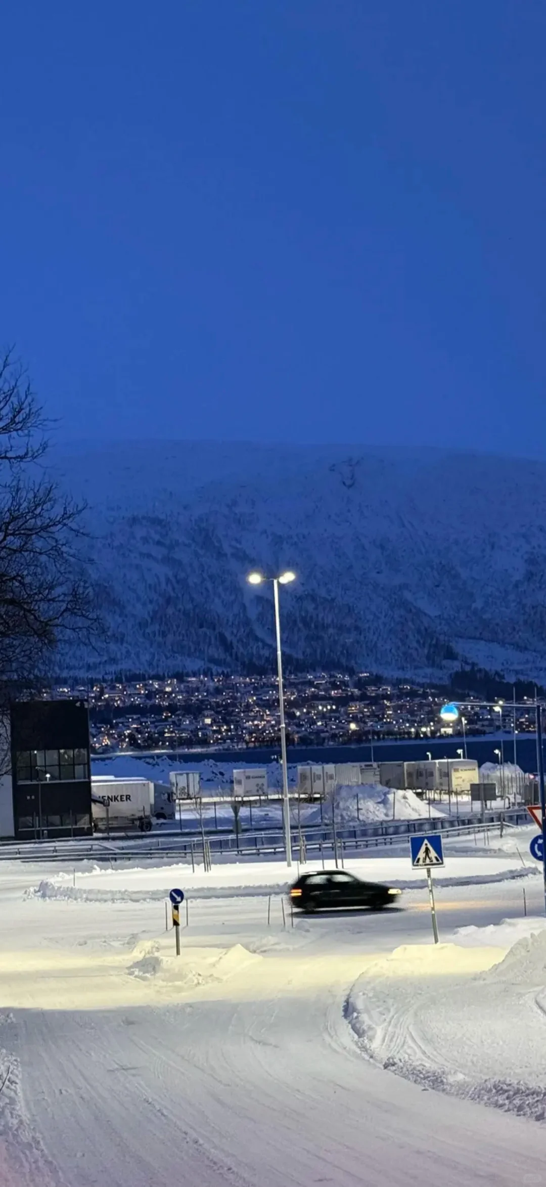 想你时风起 风起意难平