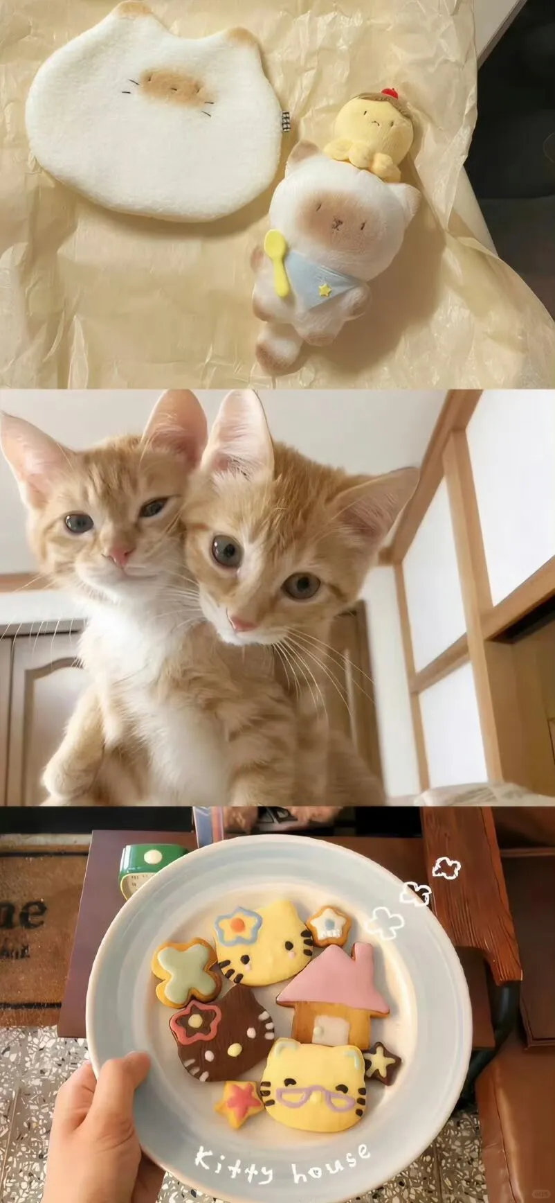 SHARE|ins风拼接壁纸