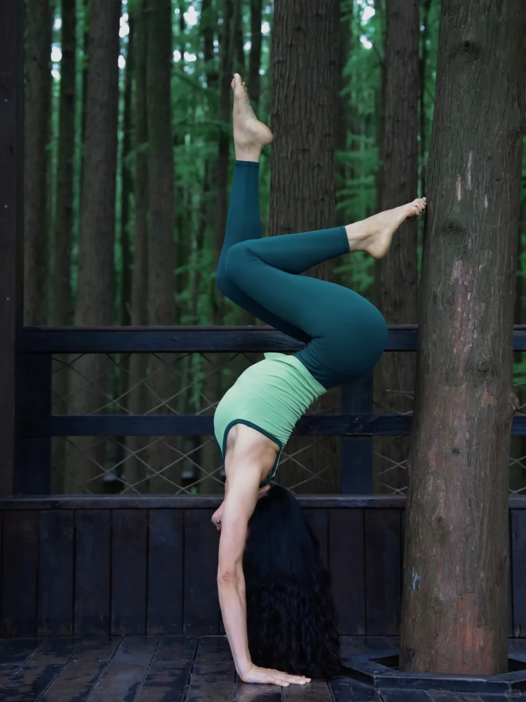 我猜你也一定喜欢绿色