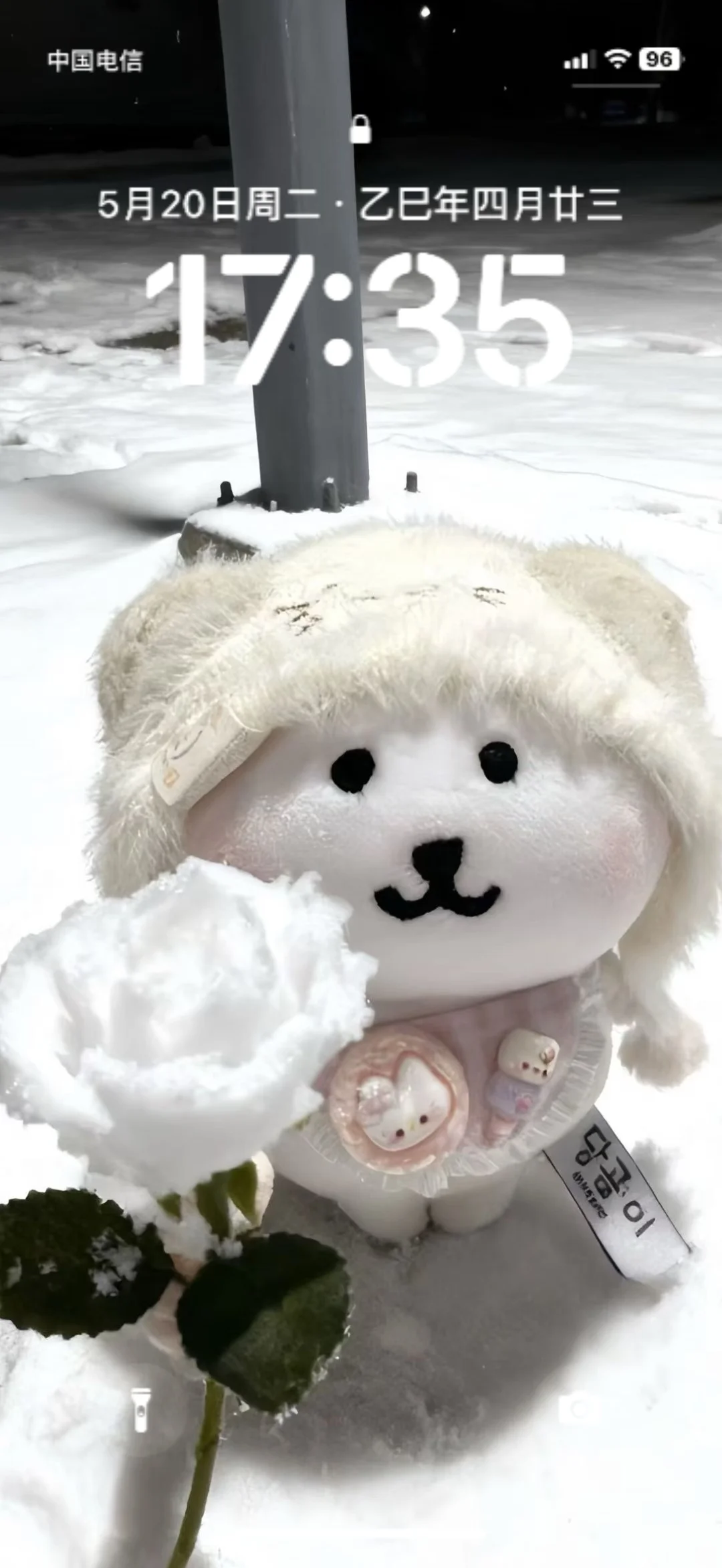 Share｜ins风自嘲熊氛围感壁纸❄️