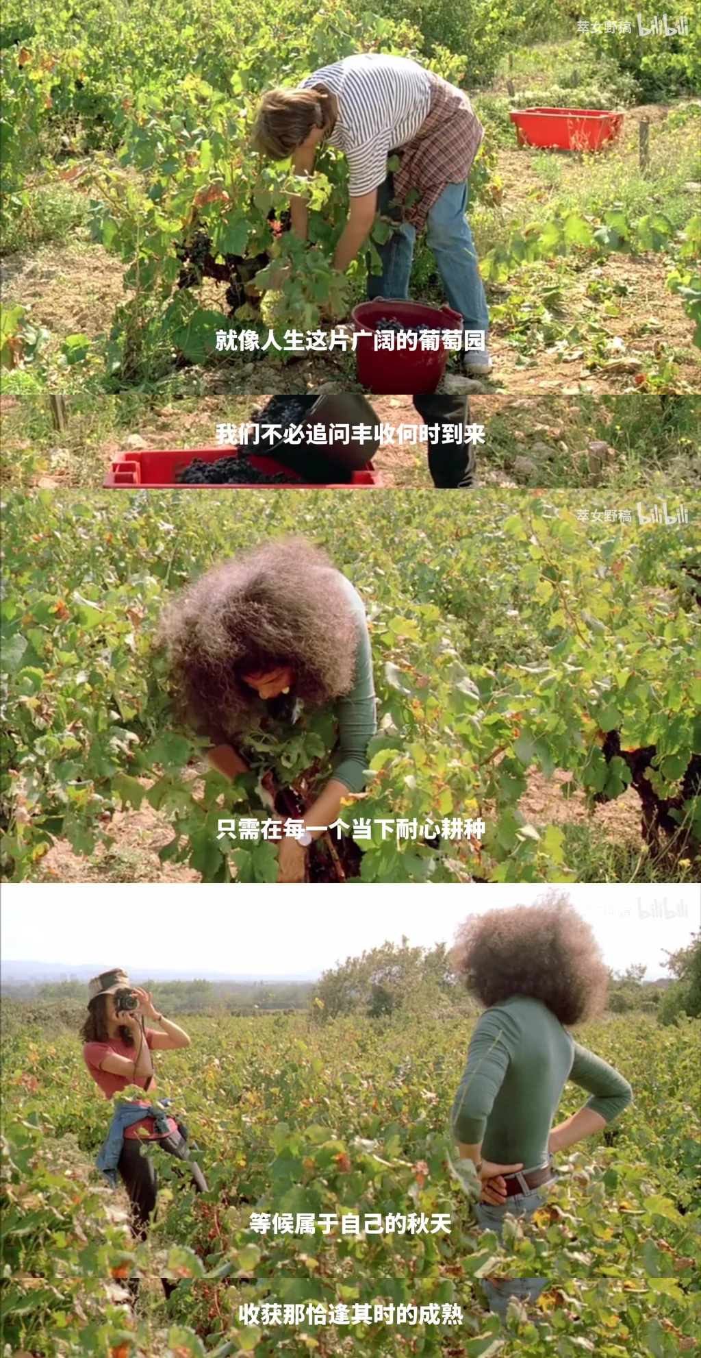 這大概就是創作的迷人之处